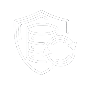 Data Backup & Recovery